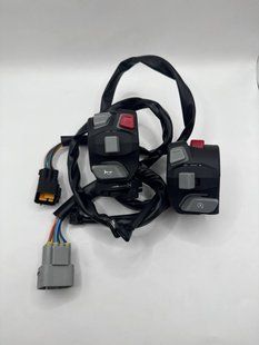 Блоки керування Tekken 300 Discovery CM0259 фото