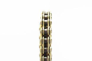Ланцюг привідний SFR 520H-120L GOLD (сальниковий) CM0500 фото